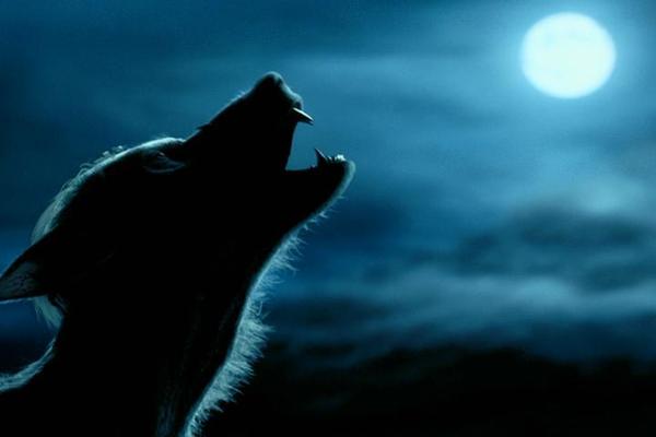 The Werewolf (Dubstep Mix) – Figure